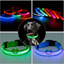 Load image into Gallery viewer, Protect and Luv your Lab on  morning and evening walks and runs!   SafeLab Glow In The Dark LED Nylon Collar In Multiple Colors.
