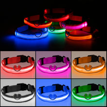Load image into Gallery viewer, Protect and Luv your Lab on  morning and evening walks and runs!   SafeLab Glow In The Dark LED Nylon Collar In Multiple Colors.
